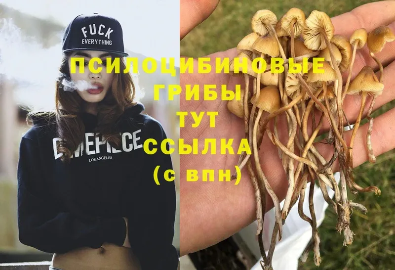 OMG ссылки  купить наркотик  Аксай  Галлюциногенные грибы MAGIC MUSHROOMS 